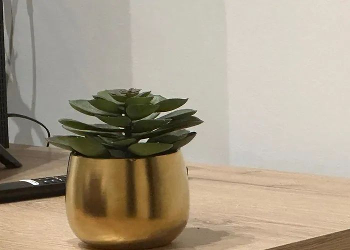 Lily דירה פלרמו