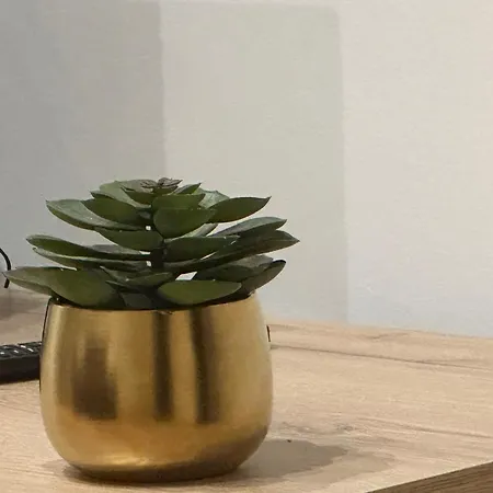 Lily Διαμέρισμα Παλέρμο